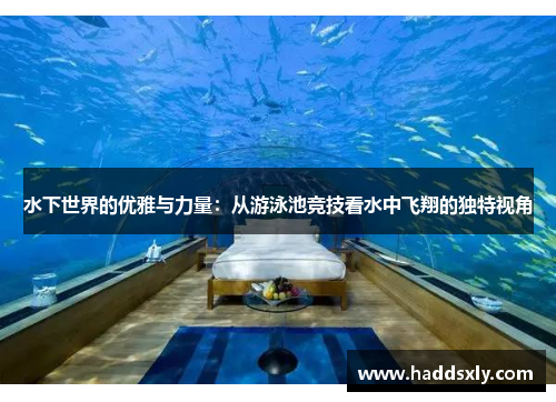 水下世界的优雅与力量：从游泳池竞技看水中飞翔的独特视角
