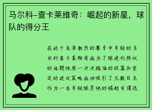 马尔科-查卡莱维奇：崛起的新星，球队的得分王